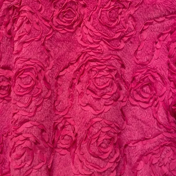 Pink Plush Teddy Jacket Cropped Zip-Up - Picture 5 of 5